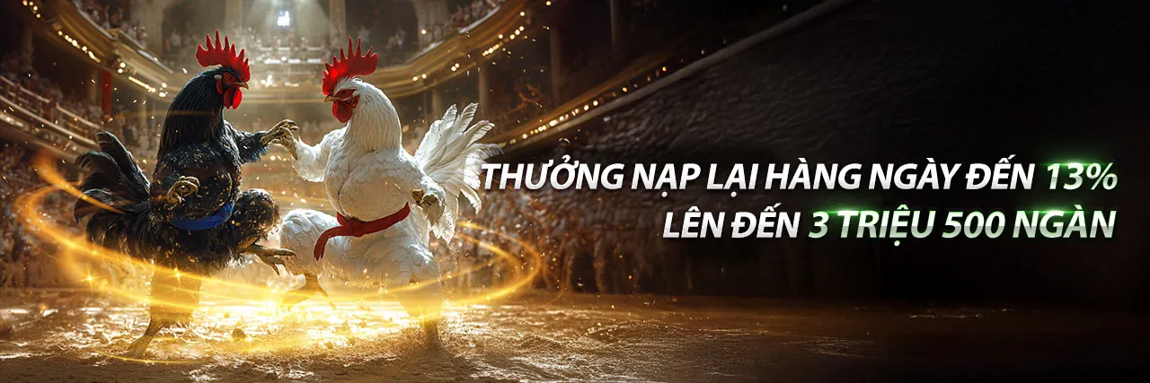 Đá Gà Khờ Mo Hôm Nay Trực Tiếp